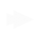 GOVSCOUT